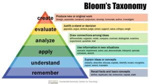 donor, nonprofit, fundraising, donors, blooms taxonomy, nonprofit, charity